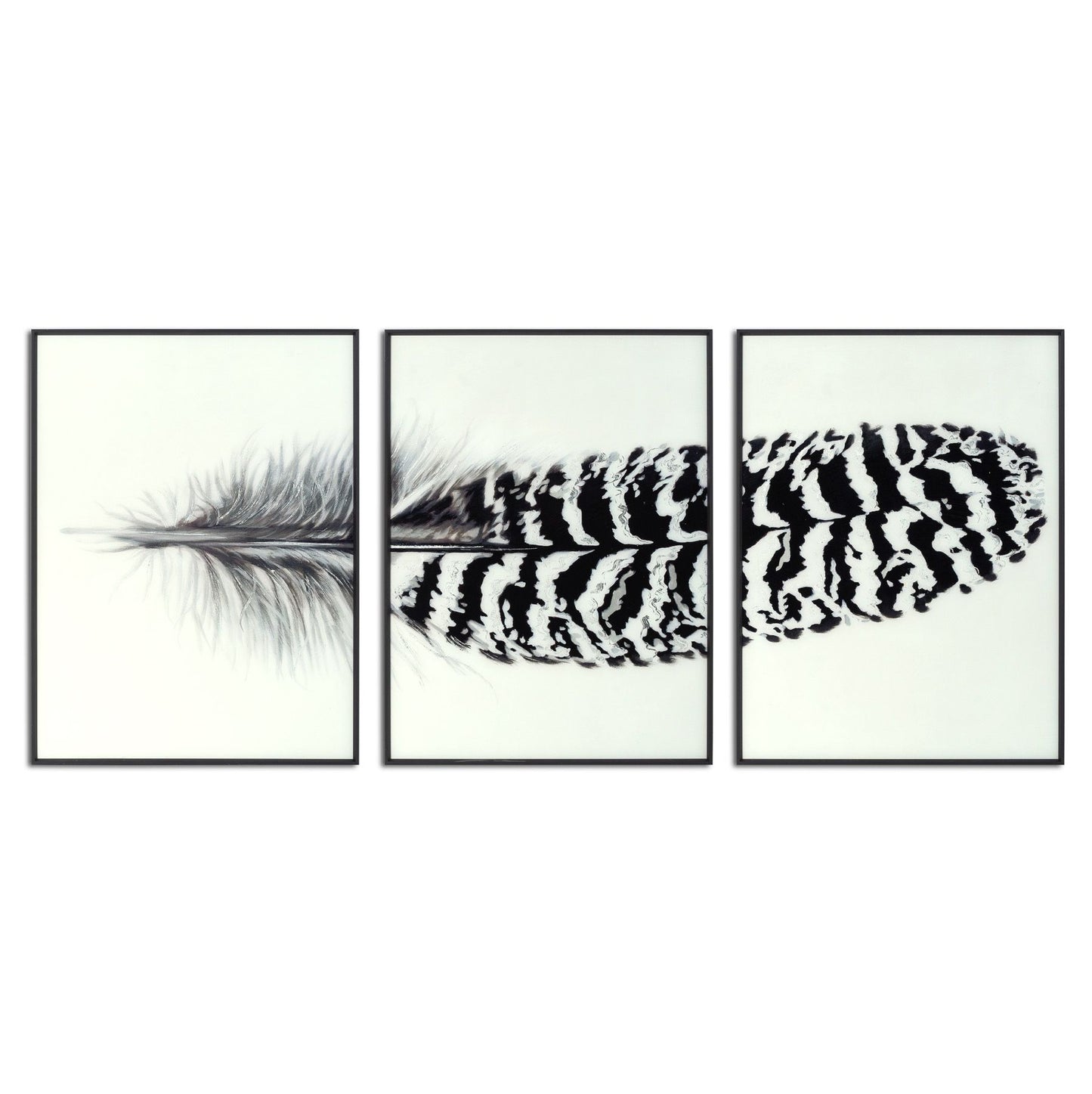 Black Striped Feather Over 3 Black Glass Frames